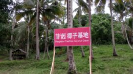 Banner Pangkalan FreeNow Coconut Grove di Banggai Kepulauan(Istimewa)
