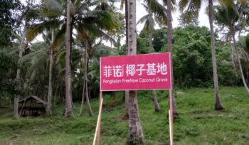 Banner Pangkalan FreeNow Coconut Grove di Banggai Kepulauan(Istimewa)