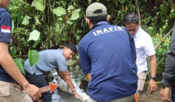 Polisi saat olah Tempat Kejadian Perkara (TKP) penemuan mayat adik Naya di kawasan rawa-rawa Desa Bone Baru, Banggai Utara (Dok.Humas res Bangkep)