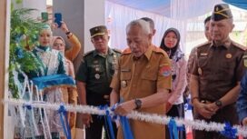 Bupati Banggai Laut Sofyan Kaepa melakukan peresmian mal pelayanan publik (Foto: Nomo/BanggaiTerkini)