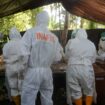 Proses ekshumasi oleh tim dokter forensik terhadap Jenazah Adik Naya di desa Bone Baru, Banggai Utara (Foto: Istimewa)