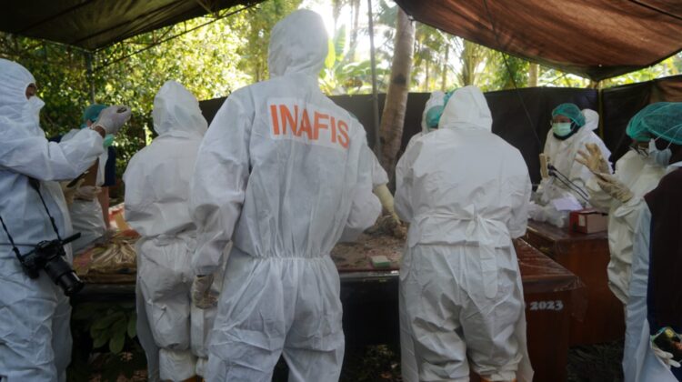 Proses ekshumasi oleh tim dokter forensik terhadap Jenazah Adik Naya di desa Bone Baru, Banggai Utara (Foto: Istimewa)