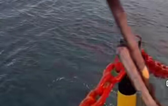 Anak yang Lompat dari Kapal Tol Laut Tujuan Gorontalo Ditemukan Nelayan Palam, Begini Kondisinya!