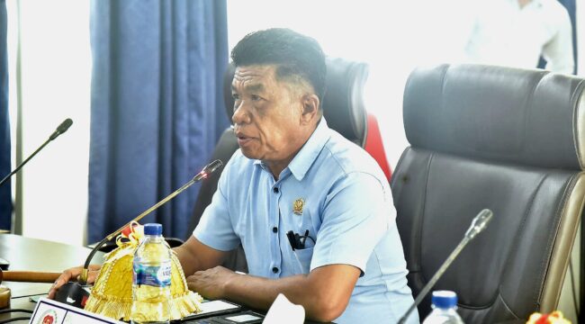 Anggota DPRD Banggai Laut dari partai Demokrat, Laongke Laido (Istimewa)