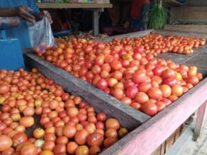 Tomat di Pasar Baru Banggai, Kabupaten Banggai Laut (Foto : Nomo/BanggaiTerkini)