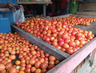 Tomat di Pasar Baru Banggai, Kabupaten Banggai Laut (Foto : Nomo/BanggaiTerkini)
