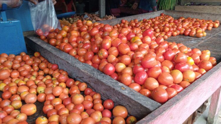 Tomat di Pasar Baru Banggai, Kabupaten Banggai Laut (Foto : Nomo/BanggaiTerkini)