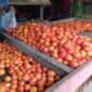 Tomat di Pasar Baru Banggai, Kabupaten Banggai Laut (Foto : Nomo/BanggaiTerkini)