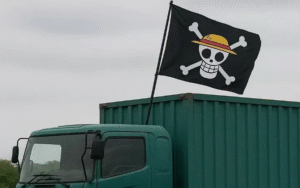 Bendera one peace (Ist)
