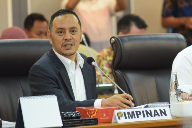 
					Legislator : Pengibaran Bendera One Piece Tidak Berarti Melecehkan Simbol Negara