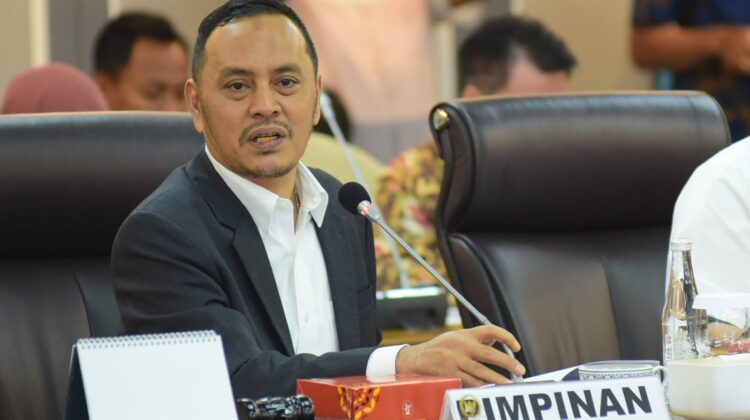 Legislator : Pengibaran Bendera One Piece Tidak Berarti Melecehkan Simbol Negara