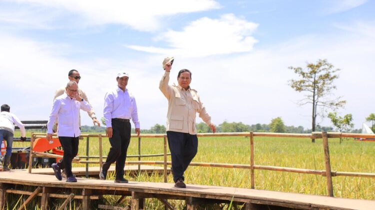 Ketahanan Pangan Indonesia Aman dan Kuat