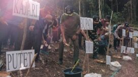 Bupati Sofyan Kaepa melakukan penanaman ubi banggai di desa Lokotoy, Banggai Utara (Foto : Nomo/BanggaiTerkini)