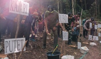 Bupati Sofyan Kaepa melakukan penanaman ubi banggai di desa Lokotoy, Banggai Utara (Foto : Nomo/BanggaiTerkini)