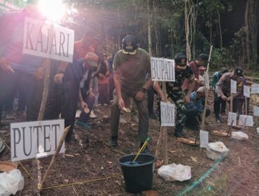 Bupati Sofyan Kaepa melakukan penanaman ubi banggai di desa Lokotoy, Banggai Utara (Foto : Nomo/BanggaiTerkini)