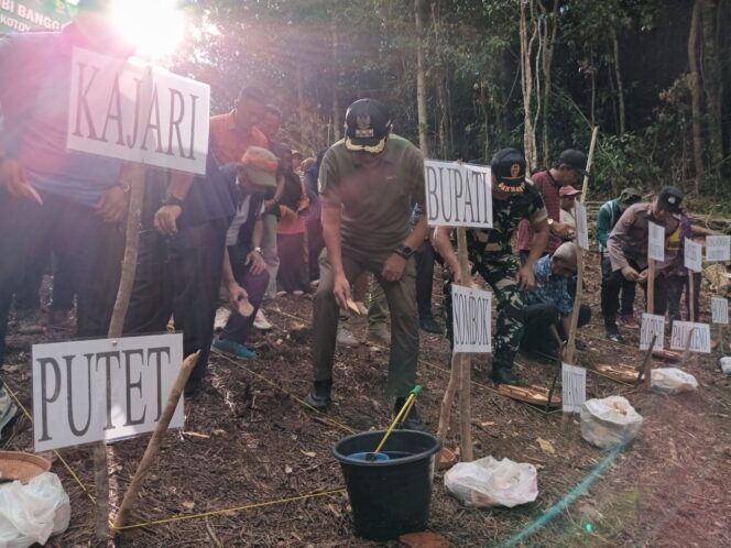 
					Bupati Sofyan Kaepa melakukan penanaman ubi banggai di desa Lokotoy, Banggai Utara (Foto : Nomo/BanggaiTerkini)