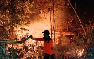 Kebakaran Hutan di Salakan (Dok. BPBD Bangkep)