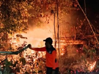Kebakaran Hutan di Salakan (Dok. BPBD Bangkep)