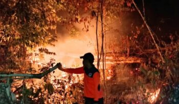 Kebakaran Hutan di Salakan (Dok. BPBD Bangkep)