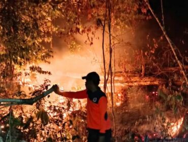 Kebakaran Hutan di Salakan (Dok. BPBD Bangkep)