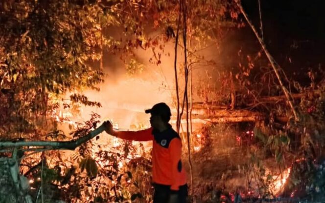 
					Kebakaran Hutan di Salakan (Dok. BPBD Bangkep)