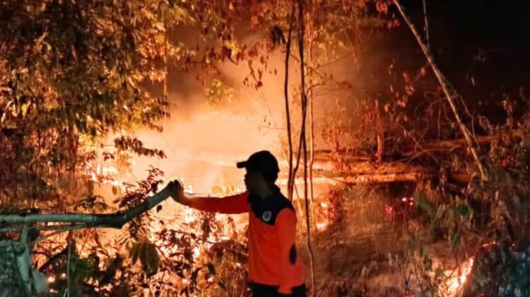 Kebakaran Hutan di Salakan (Dok. BPBD Bangkep)