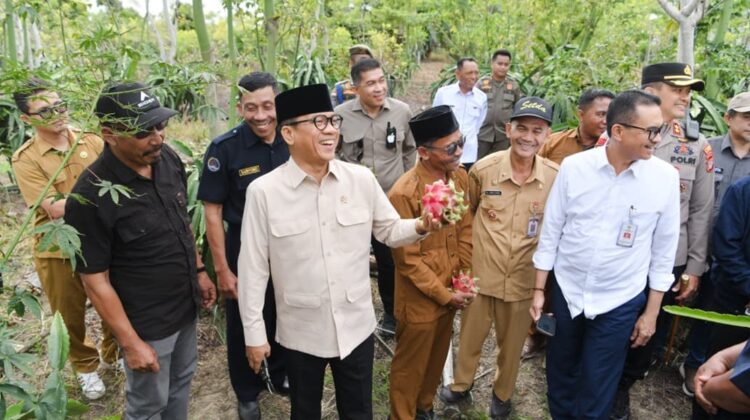 Mendes PDT Dorong Penguatan Desa Tematik Berbasis Potensi Lokal di Banggai