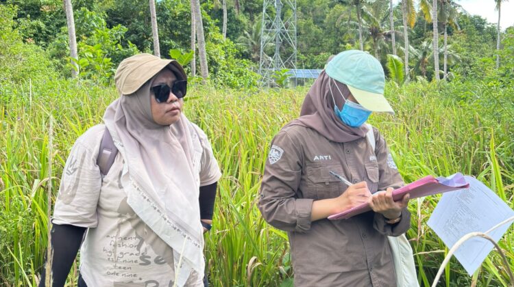Tim Teknis Tinjau Lokasi Pembangunan Sekolah untuk Penerbitan PKKPR Non-Berusaha
