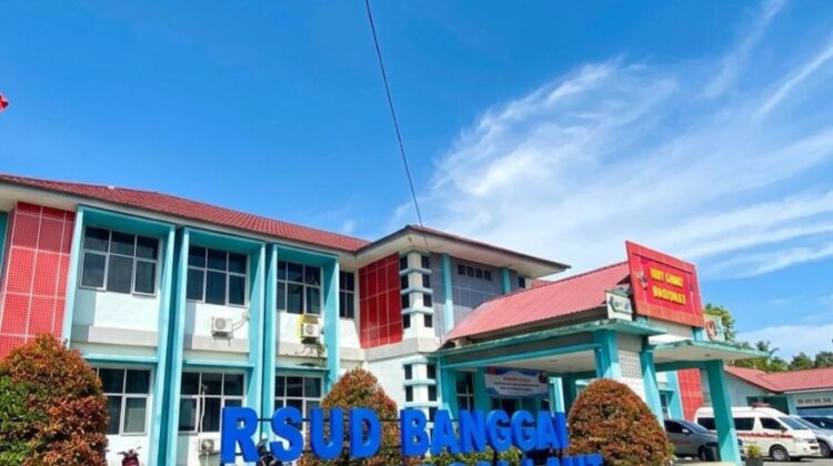 Dari CT-Scan Hingga Cath Lab, RSUD Banggai Laut Dapat Bantuan Alkes dari Kemenkes RI, Total Rp40 Miliar