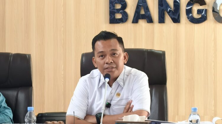 Empat Desa di Banggai Laut Belum Miliki Kades Definitif, Ketua DPRD Patwan Kuba Soroti Kinerja Dinas PMD-P3A